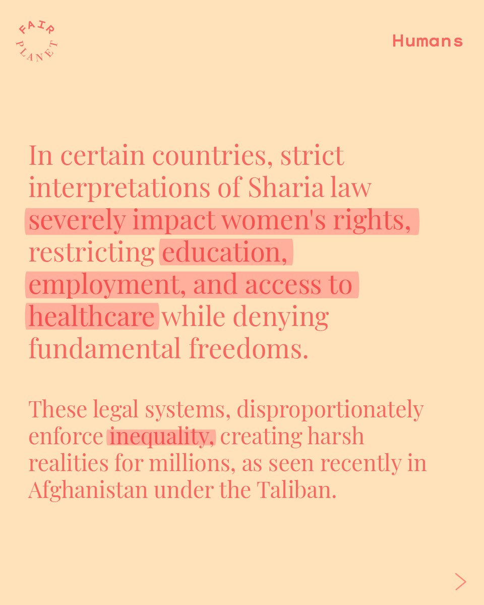 FairPlanet tweet media