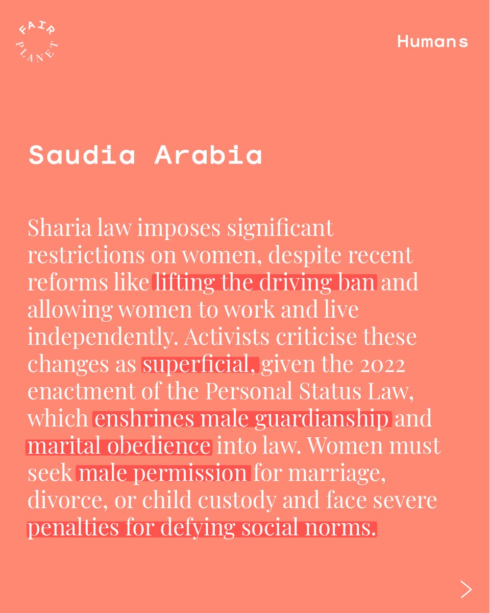 FairPlanet tweet media