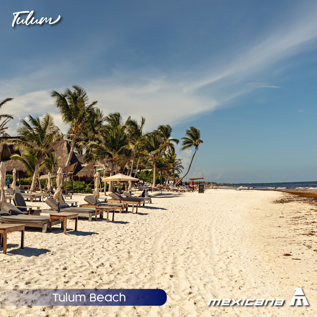 MexicanaVuela_'s tweet photo. ¿Tienes ganas de playa? 🏝️
Puerto Vallarta, Zihuatanejo, Tulum y Mazatlán te esperan con algunas de las playas más hermosas del país.
https://t.co/GuriKOw2FF
#playaperfecta #rumboalparaíso #destinosdesolymar #mexicana https://t.co/hiKahkWYjG