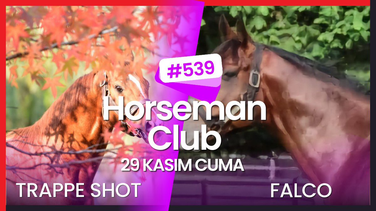 Son 3 yıldır yaptığımız gibi aygır programlarımıza bu yıl da kaldığımız yerden devam ediyoruz. Horseman Club’ın 539. bölümünde taylarıyla kalitesini gösteren Trappe Shot ve bu yıl Türkiye’ye Atman Ekürisi tarafından getirilen Peri Lina’nın babası Falco konuğumuz. 

Aralık ayı