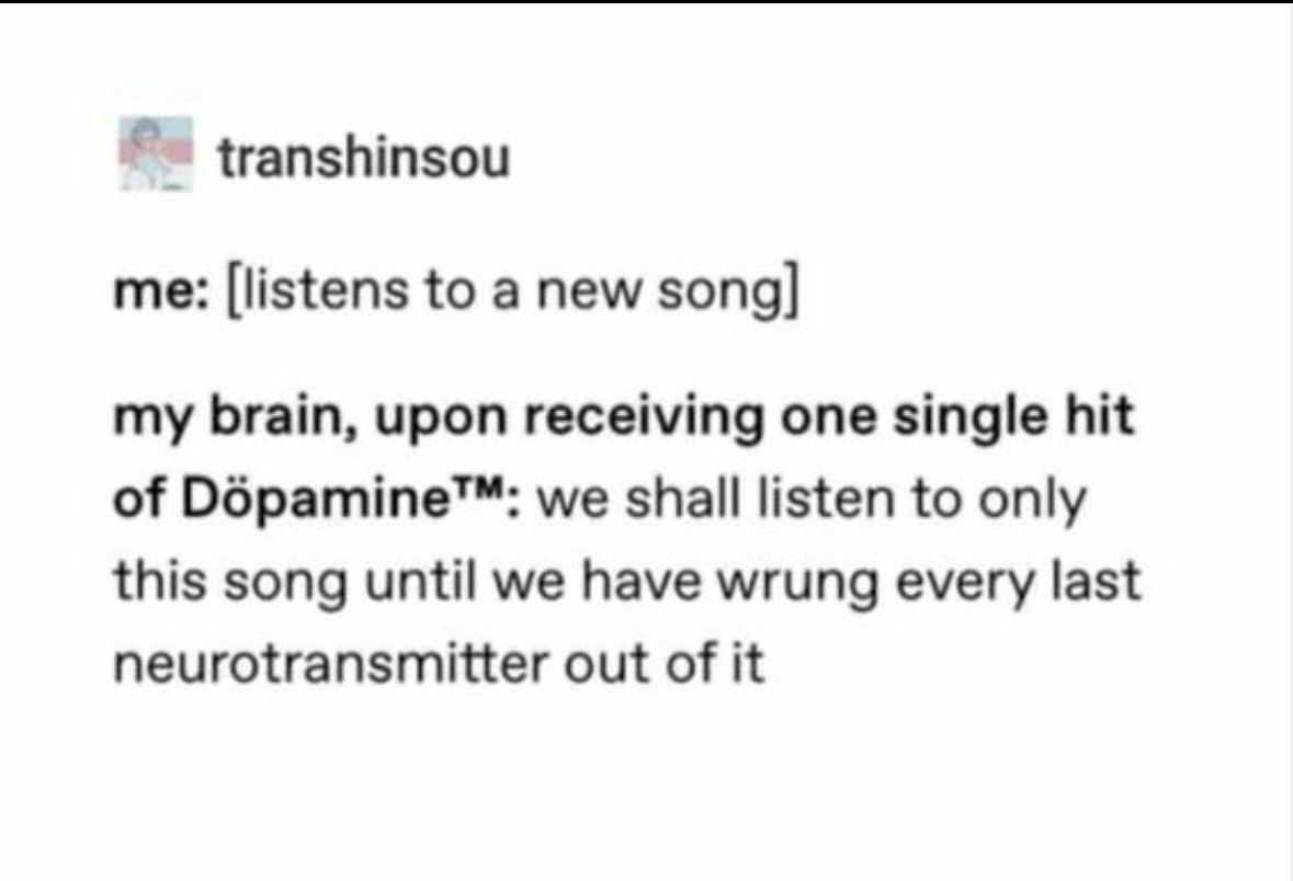 ADHD Memes tweet media