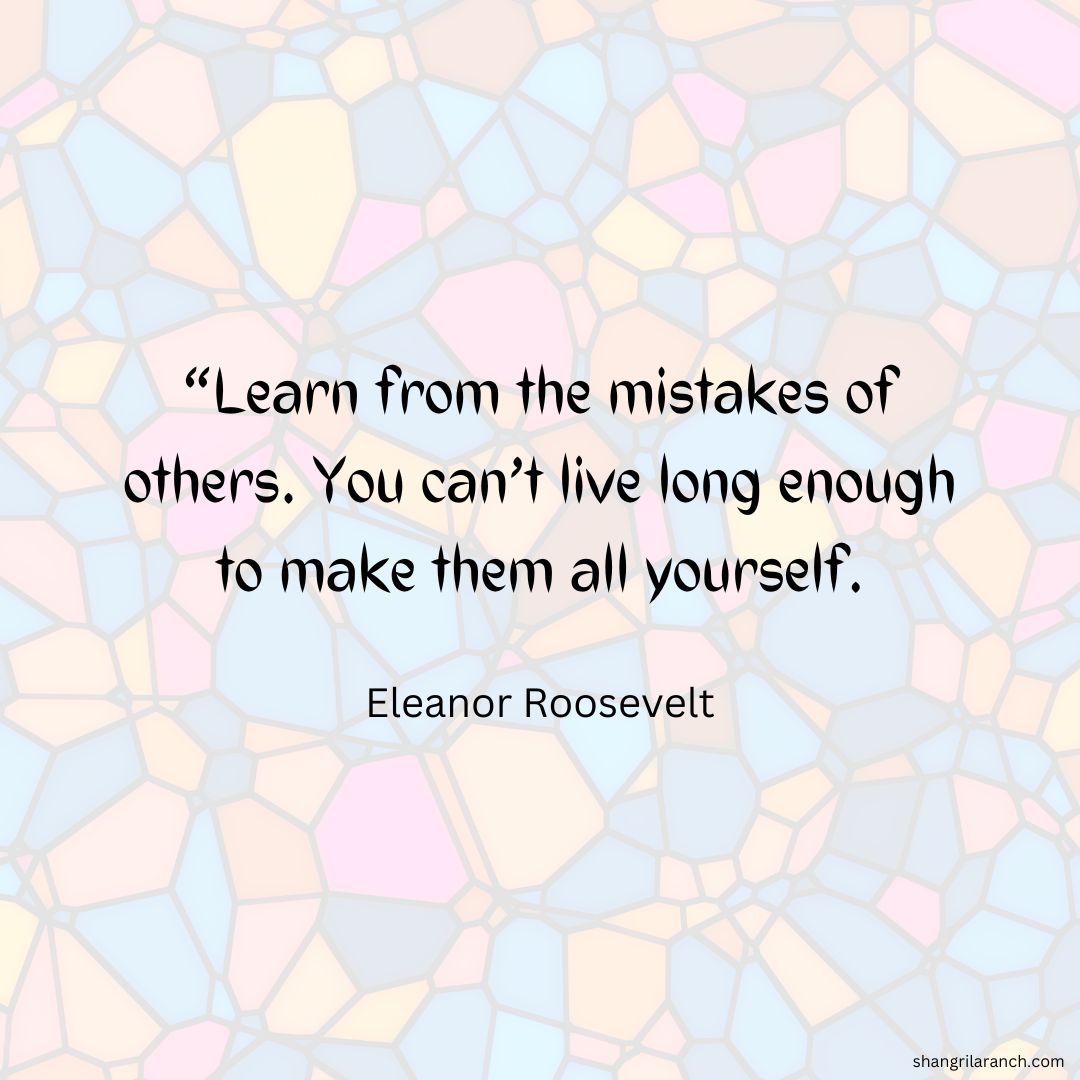 SLRNude's tweet image. 🌍 Embrace the journey of others as your roadmap to success. Sharing wisdom is how we pave paths for future travelers. Let&apos;s build a world rich in collective knowledge 📚💡 #LearnFromOthers