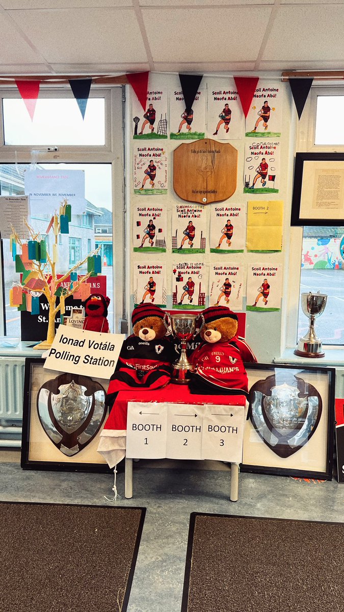 I love exercising my right to vote. I love proportional representation. And I love the GAA obsession at St. Anthony’s NS Ballinlough, which is my polling station. Hup!