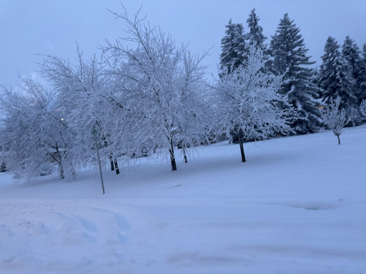 Winter is here❄️❄️❄️