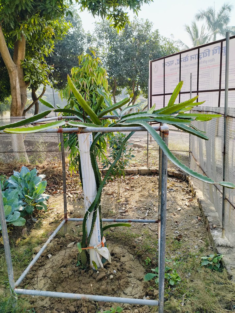 CRS 91.2 FM KVK, PATNA tweet media