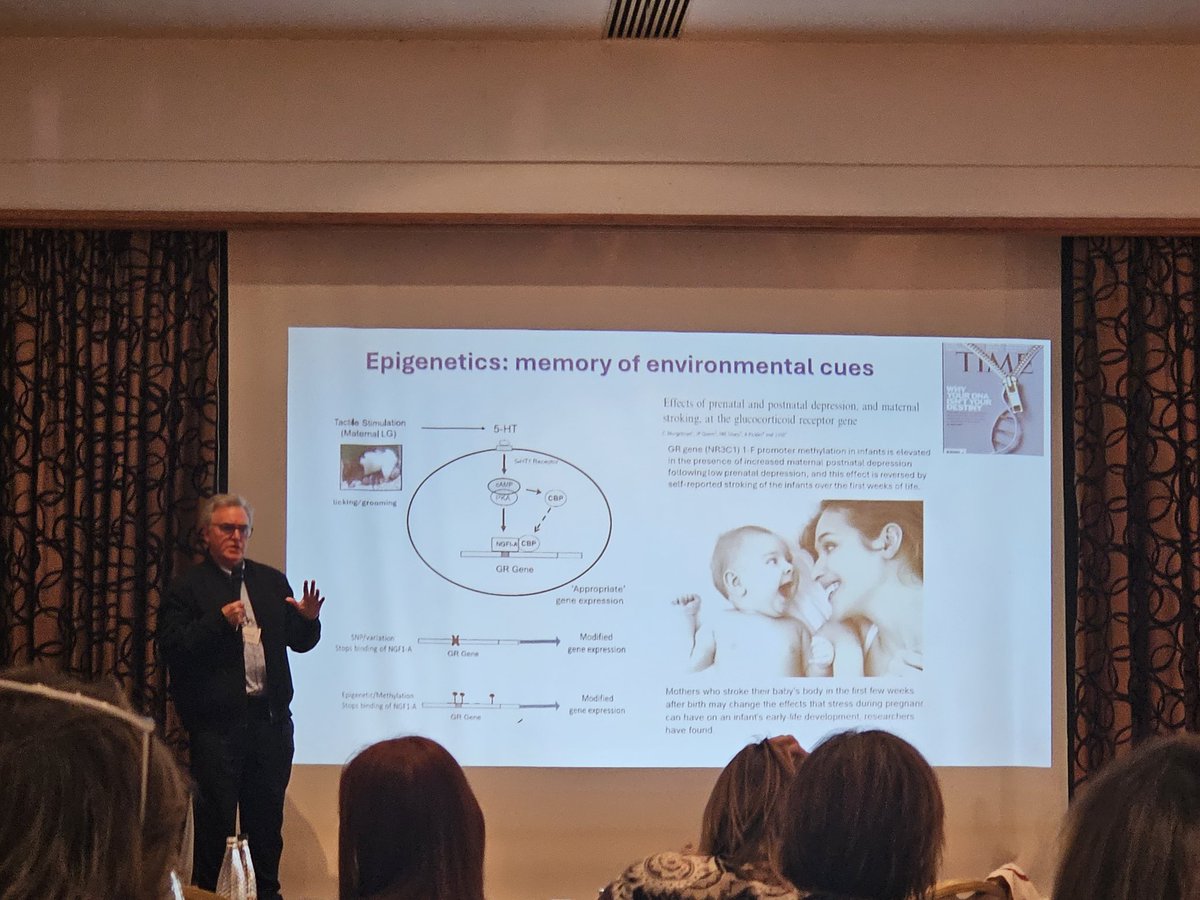 Jasmeen Islam (@jasmeenislam) on Twitter photo Expert in the field, Prof John Quinn talks about epigenetics including how and why 'our DNA may not define our destiny' and what this means in mental health #cwpresearch2024 <a href="/cwp_research/">CWP Research Team</a> <a href="/cwpnhs/">Cheshire and Wirral Partnership NHS FT</a> <a href="/modiyoor/">Mahesh Odiyoor</a> Expert in the field, Prof John Quinn talks about epigenetics including how and why 'our DNA may not define our destiny' and what this means in mental health #cwpresearch2024 <a href="/cwp_research/">CWP Research Team</a> <a href="/cwpnhs/">Cheshire and Wirral Partnership NHS FT</a> <a href="/modiyoor/">Mahesh Odiyoor</a>
