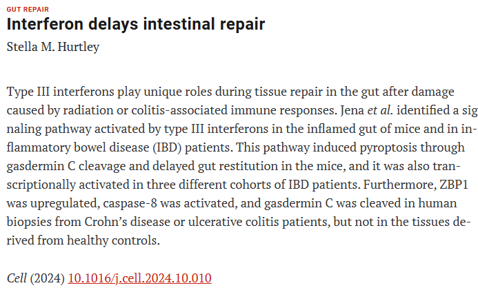 And finally (probably) for today, my choice this week in <a href="/ScienceMagazine/">Science Magazine</a> <a href="/Lo_Zanzi/">Ivan Zanoni</a> 
10.1016/j.cell.2024.10.010