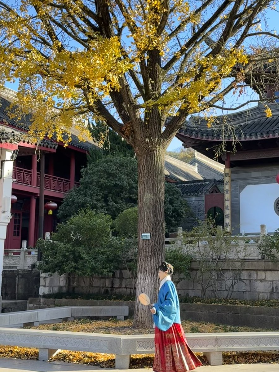 #tournage Couleurs d’#automne #érables 🍁🍁 Montagne #Qixia ⛰️#Nanjing #Chine <a href="/FranceTVChine/">FranceTVChine</a> <a href="/ESizarols/">Émilie Sizarols</a>