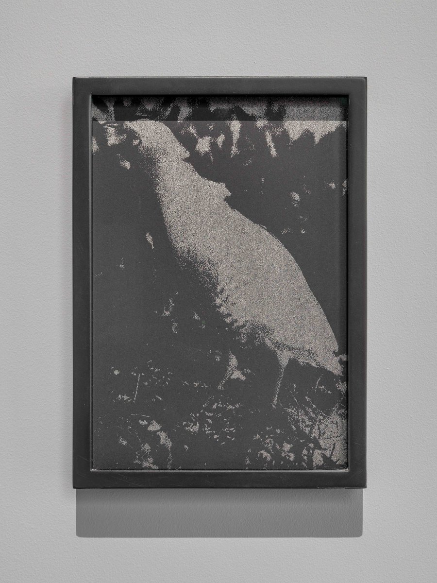 🔺 NEW EDITIONS ALERT 🔺 We are delighted to announce a new artist to join the #UPHOLD collection today! Four beautiful new works by Christopher Steenson, now available through the #UPHOLD site! <a href="/ArtsCouncilNI/">Arts Council of Northern Ireland</a> <a href="/belfastcc/">Belfast City Council</a> <a href="/artsbusinessni/">Arts & Business NI</a> <a href="/OrmstonHouse/">Ormston House</a>