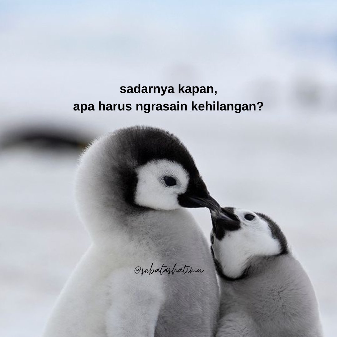sebatashatimu's tweet image. apa harus kehilangan dulu baru sadar?