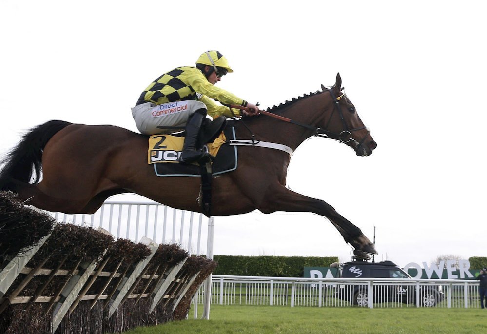 Fitzwilliam__'s tweet image. 🎁 | COMPETITION TIME 

💶If SIR GINO wins the Fighting Fifth on Saturday &amp;amp; TEAHUPOO wins the Hatton’s Grace on Sunday we’ll give a £250 free bet to one of you.

To enter:

1️⃣Like &amp;amp; RT this post
2️⃣Follow this page
3️⃣Tag someone👇🏼

18+ | T&amp;amp;Cs Apply | BeGambleAware.org