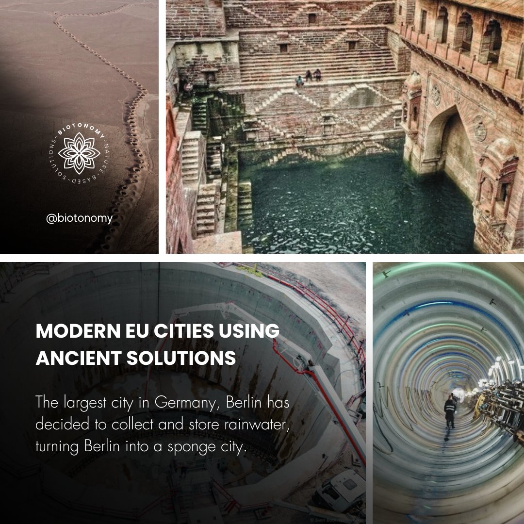 Biotonomy (@biotonomy) on Twitter photo As European cities face rising temperatures and water shortages, Berlin is turning to ancient water solutions. With massive reservoirs to capture rainwater, they're addressing environmental challenges. Modernizing these methods ensures a sustainable future. As European cities face rising temperatures and water shortages, Berlin is turning to ancient water solutions. With massive reservoirs to capture rainwater, they're addressing environmental challenges. Modernizing these methods ensures a sustainable future.