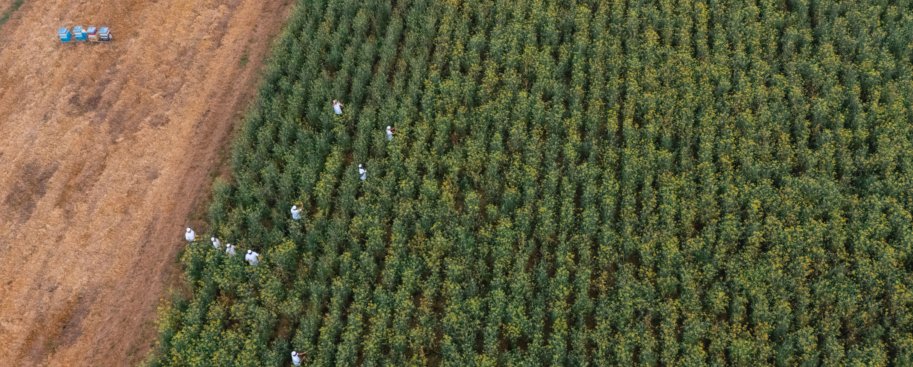 Nasce l’Oasi della Finocchiona IGP: il nuovo progetto per la tutela della biodiversità toscana del Consorzio della Finocchiona IGP in collaborazione con la tecnologia <a href="/3BeeHiveTech/">3Bee_naturetech</a> #SaporidellaToscana e #goldeyes.

leggi il comunicato stampa &gt; bit.ly/49aUWB4
