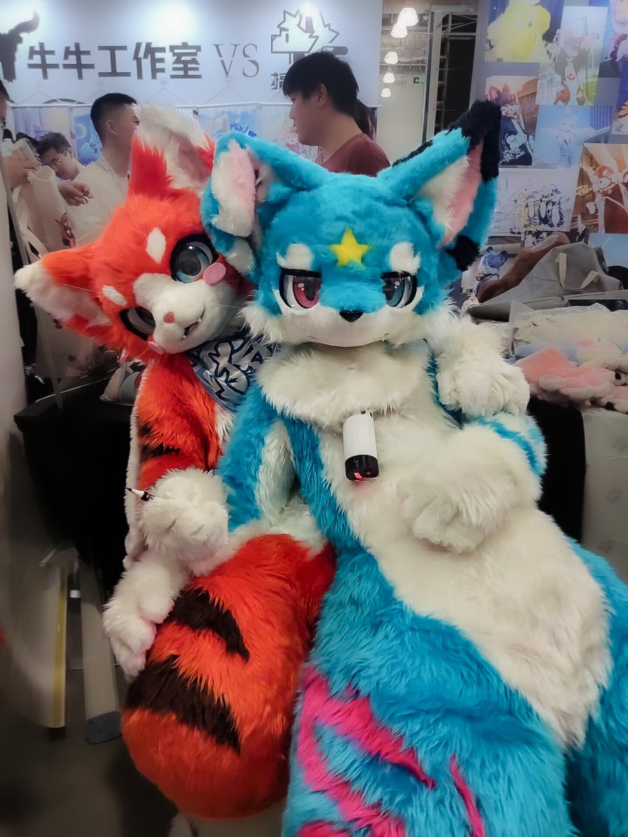 #FursuitFriday
橘猫和各种蓝狗
（我是被迫这样发毛5的，你们信我！！！）
出镜：<a href="/HYkotsuki/">Kotuski → 計画ないQwQ</a> <a href="/OokamiMirusama/">米迩</a>
<a href="/hiro_rion_/">ちゃんひろ</a> 和羽雨均
摄影：
P1 @源妈 
P2 @井水Well Up 
P3 @故人十一画 
P4未知