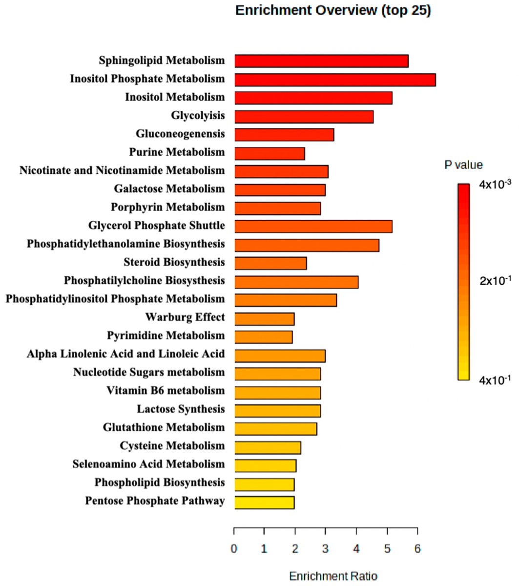 #PublicaciónCientífica

“Identification of SYNJ1 in a Complex Case of Juvenile Parkinsonism Using a Multiomics Approach”

mdpi.com/1422-0067/25/1…

<a href="/agorafacmed/">Fac. Medicina UGR</a> <a href="/CanalUGR/">Universidad Granada</a> <a href="/UGRdivulga/">UGRdivulga</a> <a href="/hospital_hvn/">HUVN</a> <a href="/metabolomicaceu/">CEMBIO</a> @CIBER_ESP <a href="/EASPsalud/">Escuela Andaluza SP</a> <a href="/ibsGRANADA/">ibs.GRANADA</a> <a href="/Lorgen_Granada/">Lorgen Granada</a>