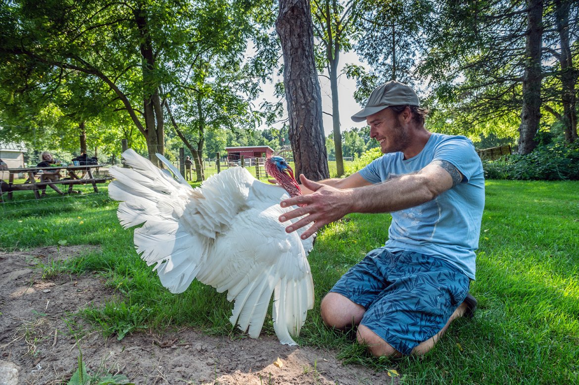 "Stewardship Is Not Good Enough" 🌍🐾 
The Revd Dr Jan Goodair invites us to rethink our relationship with animals, moving from 'dominion' to fellowship, companionship &amp; hospitality.

Read her inspiring vision here: sarx.org.uk/articles/chris…

#Christianity #AnimalAdvocacy #Animals