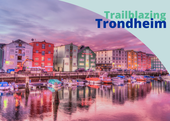 This Friday, we’re heading to Trondheim. 🇳🇴 It is home to SINTEF Ocean, partner in the #ANEMOI project.

🌊💨 ANEMOI studies how offshore wind farms impact marine life ensuring the green transition protects our seas. 🌿⚡
#interreg
