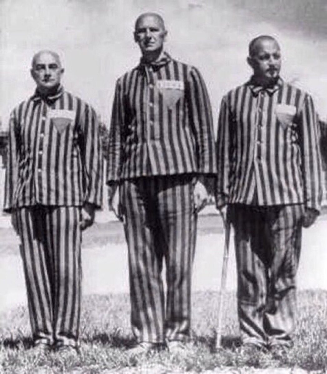 World War II - Nazi Germany

Default Concentration Camp Prisoner's Uniforms
Thread:
⬇️