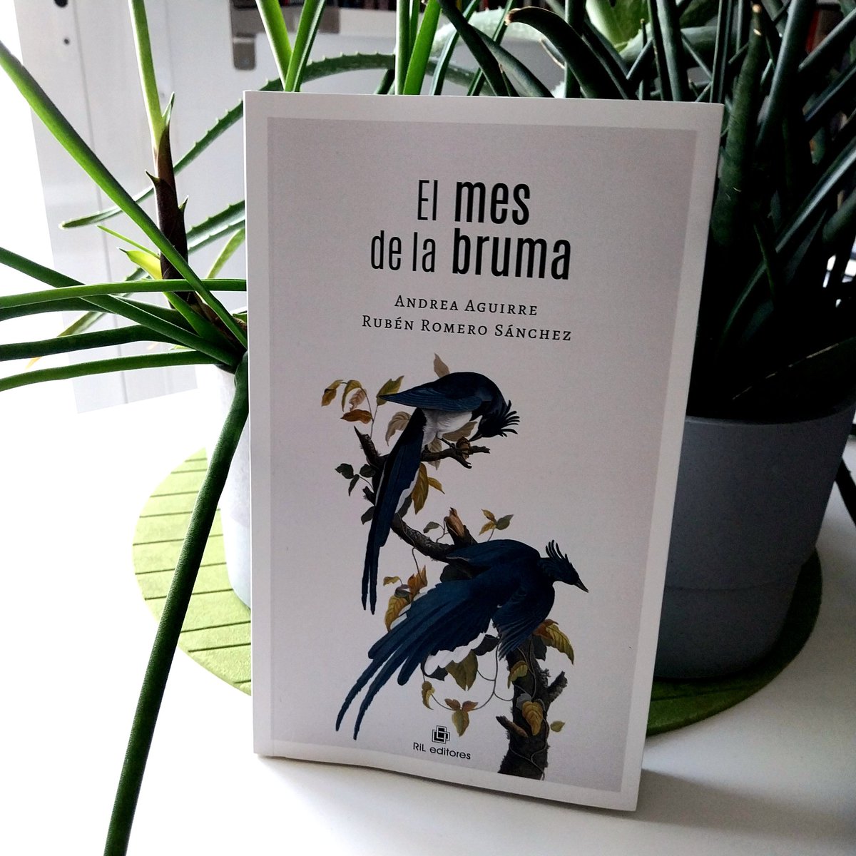 Podéis pedir "El mes de la bruma" en las librerías. Si estáis en Madrid, sé de buena tinta que hay ejemplares disponibles en las librerías: La Anónima (calle Embajadores, 166), Lé (Avda. Alberto Alcocer,  8) y Enclave de Libros (calle Relatores, 16).

#elmesdelabruma
#poesía