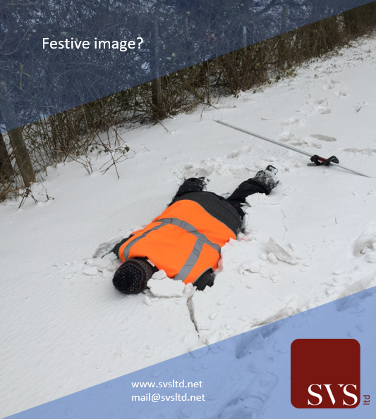 Site Vision Surveys tweet media