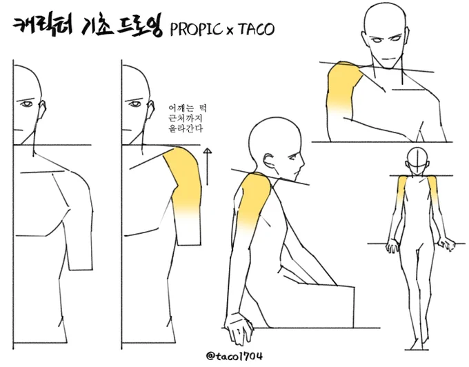어깨는 턱 근처까지 올라간다 
肩は顎の近くまで上がる 