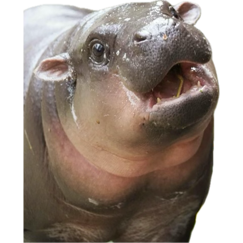 ยัยหนูตะลิสทำงานไม่พักเลยยยย งือออ ใจเจ็บอีกแล้วววว