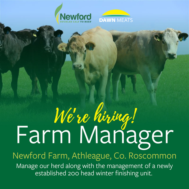 Lead the way in sustainable beef farming! 🌱 Join Newford Farm in Athleague, Co. Roscommon, as a Farm Manager. Apply now via our careers portal at bit.ly/newfordfarmman… 
#applynow #farmmanager #farmmanagervacancy #farmjobs