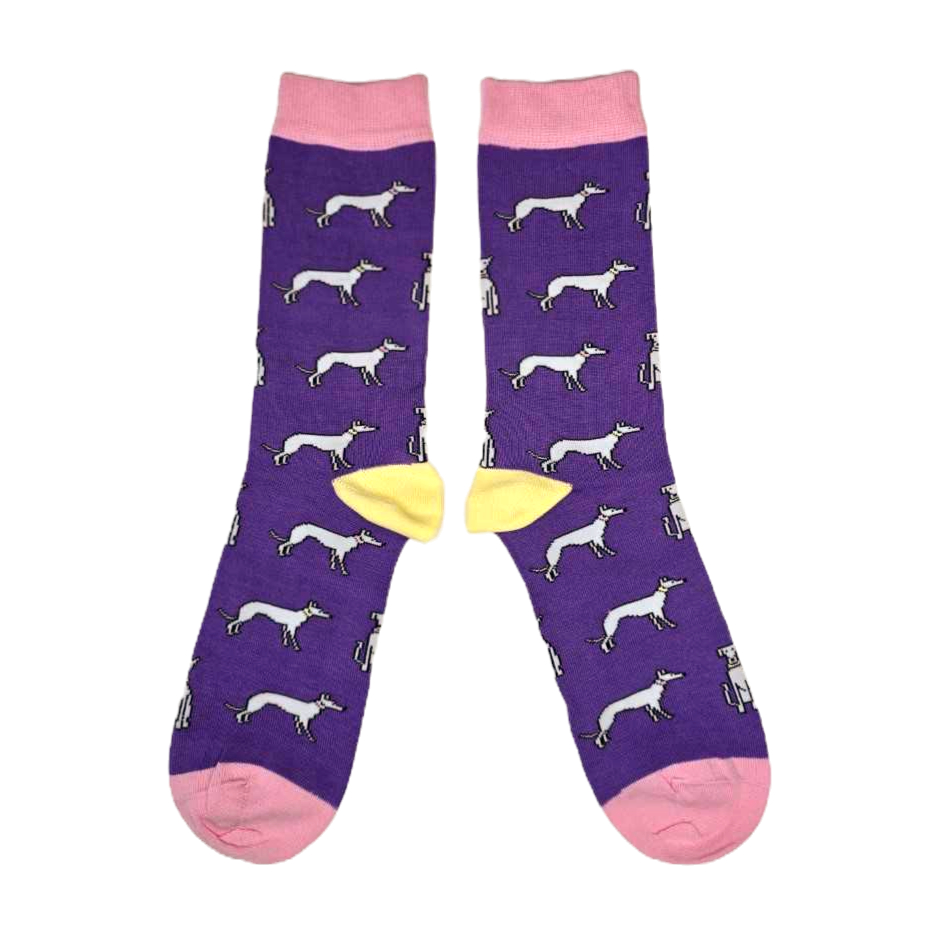 New socks have arrived in stock and this time they are for humans!

These gorgeous cotton socks would make a perfect Christmas present for a sighthound loving friend or a special treat for yourself (from the dog, of course). 🐾🎁😊

Now Available - pointyfaces.com/gifts-for-huma…