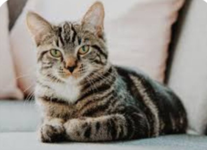 <a href="/SevdaAydn143203/">Sevda Aydın @sevgi ay</a> 😺😺😺😺😺😺😺😺😺😺😺😺😺🙀😻😻🙀😻🙀😻🙀😻🙀😻🙀😻🙀😻🙀😻