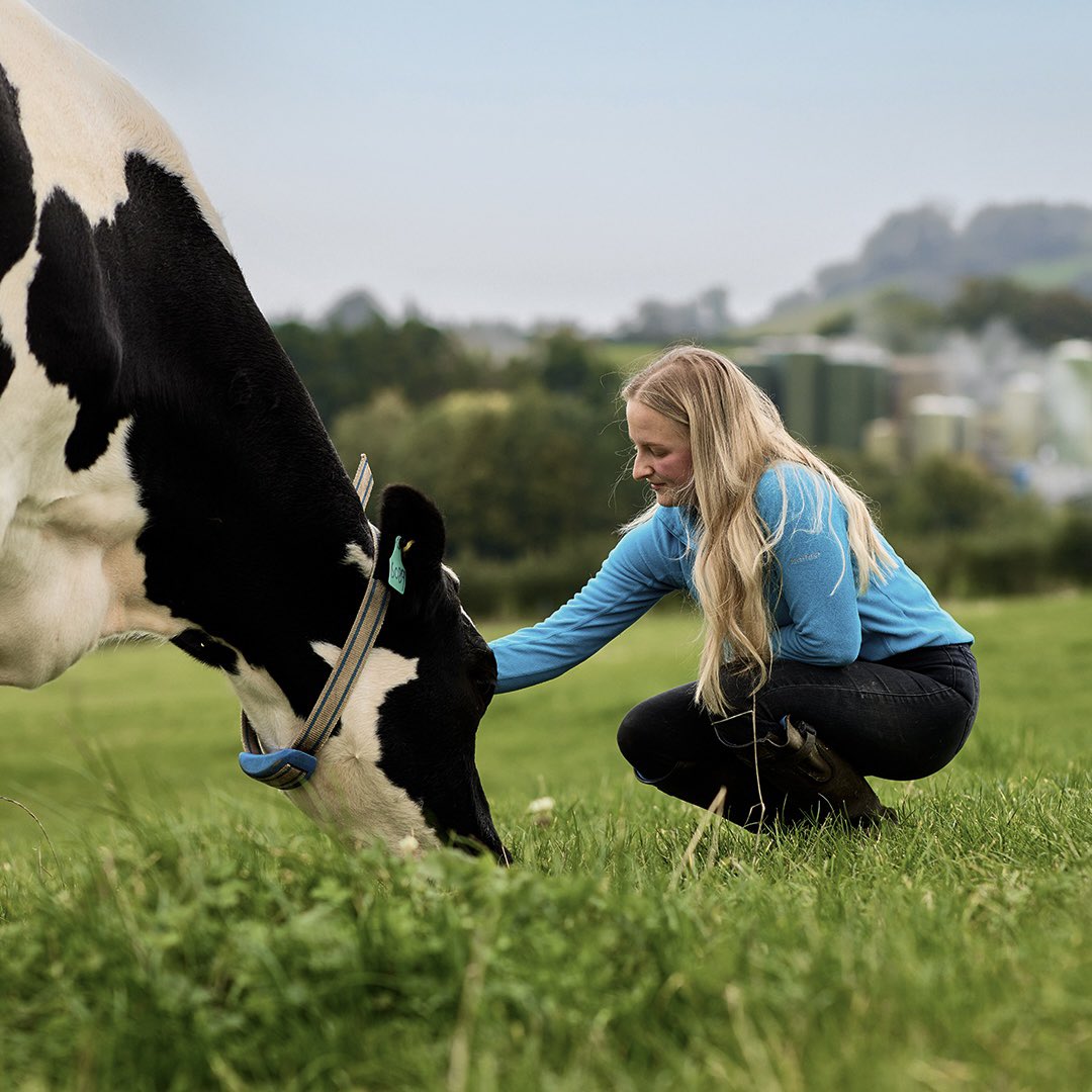 We would like to reassure all our customers that we, and our farming partners do not use the additive Bovaer. We are committed to producing high quality, natural dairy products on our Somerset farm. 

#wyke #englandscheddarmakers
