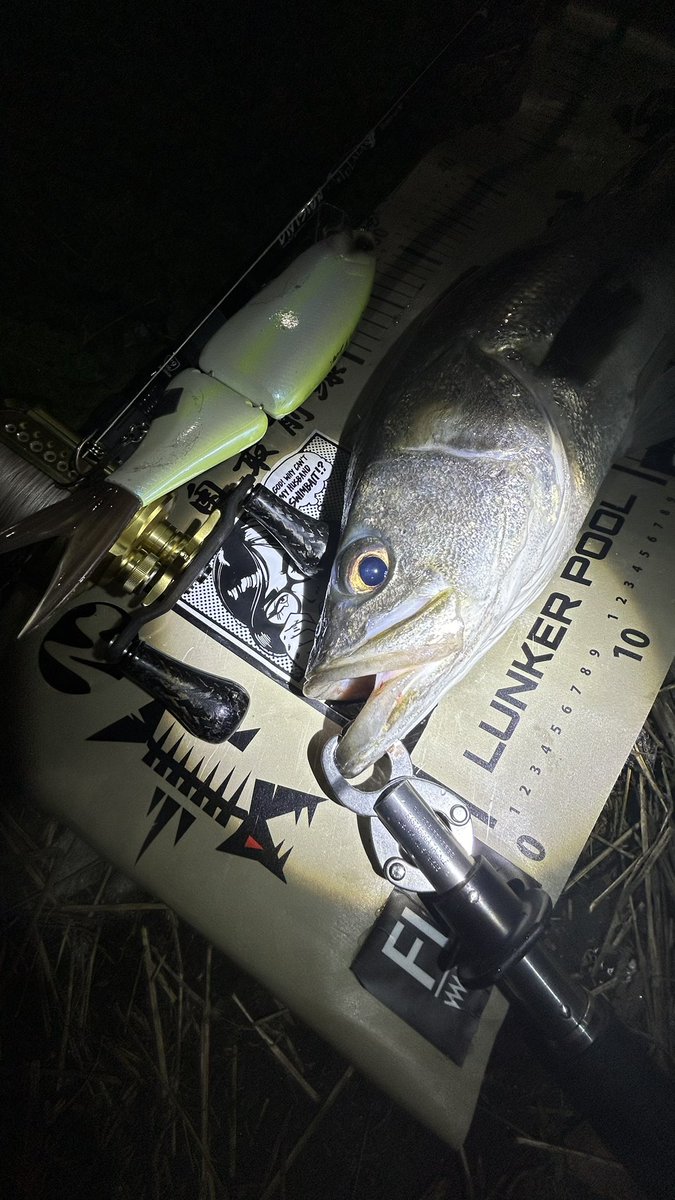 yuton_0727ii's tweet photo. 夜に映えるQUEEN👸
細身の70up🥋
#lunkerpool
#湾奥最前線
#79remix
#drt
#studiocomposite
#ビッグベイトシーバス https://t.co/qPYDeaRil6