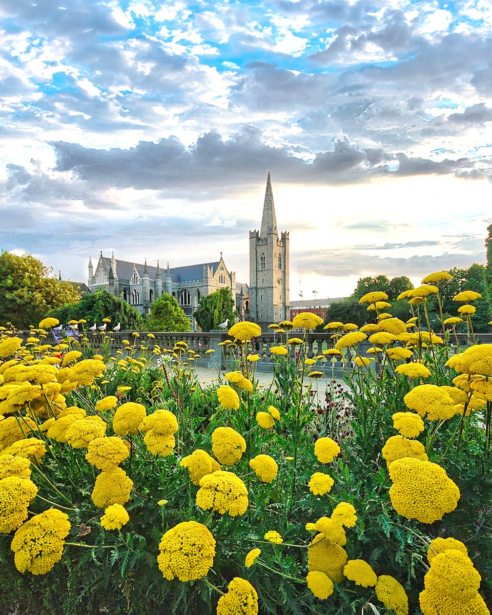 🍀 ¿Sabías que Irlanda tiene más castillos que ningún otro país de Europa? 🏰 ¡Y algunos de ellos hasta tienen sus propios fantasmas!
Pero no te preocupes, en nuestros #officialirishpub lo único que asusta es quedarte sin cerveza. 😂
#CuriosidadesDeIrlanda #CastillosYBirras