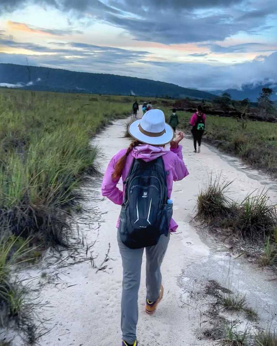 Alexa Morgan (@alexam82512) on Twitter photo 