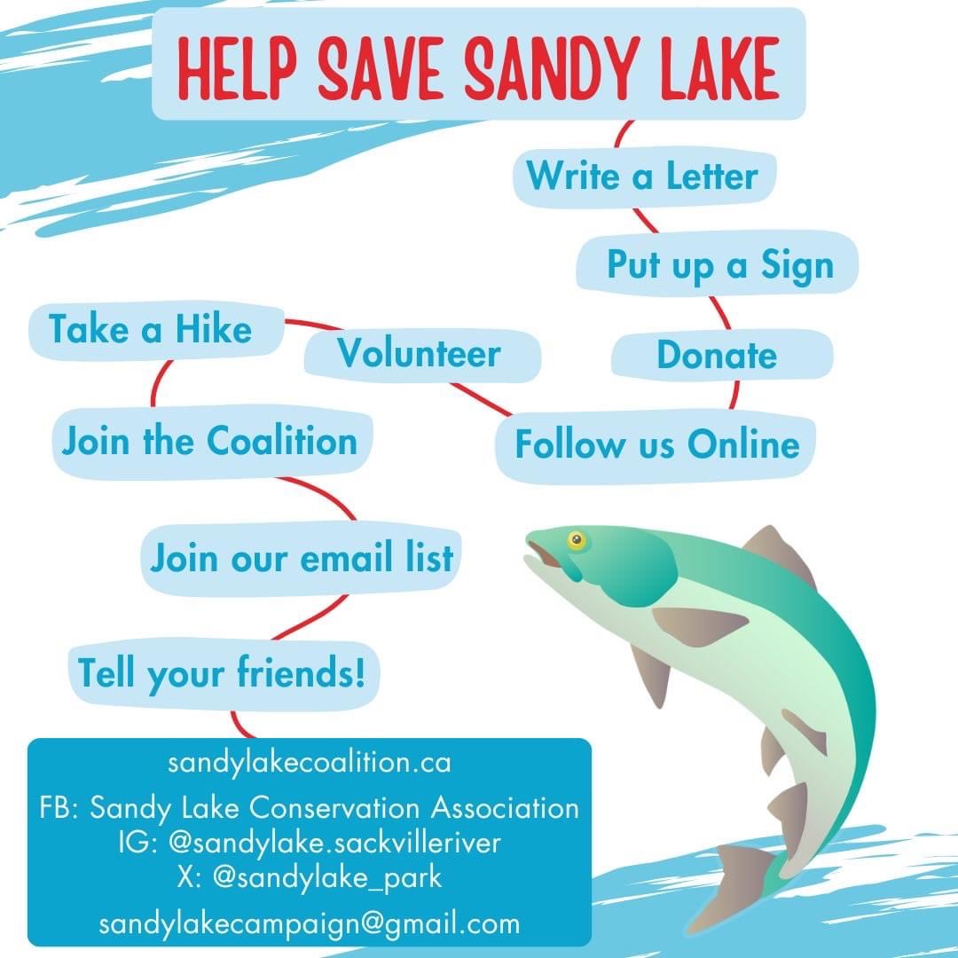 Walter N Regan (@walternregan1) on Twitter photo 