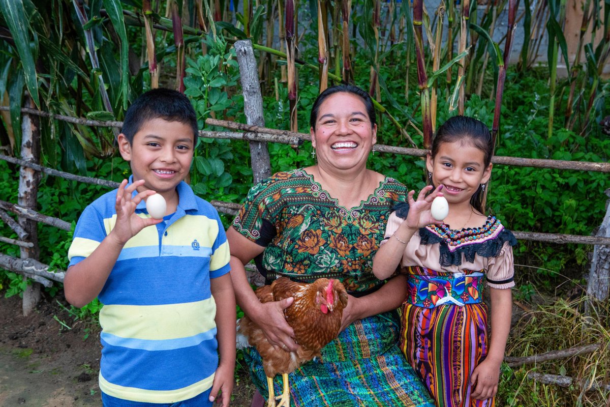 Heifer's tweet photo. Here's a 𝗕𝗹𝗮𝗰𝗸 𝗙𝗿𝗶𝗱𝗮𝘆 deal you can't find anywhere else: help 𝟰𝗫 as many families lift themselves out of hunger and poverty during our limited-time 𝗠𝗔𝗧𝗖𝗛! ❤️🎉

This means...
$50 = $200
$100 = $400
$250 = $1,000

Donate now → https://t.co/8szjXkouqb https://t.co/iZjMtqqok9