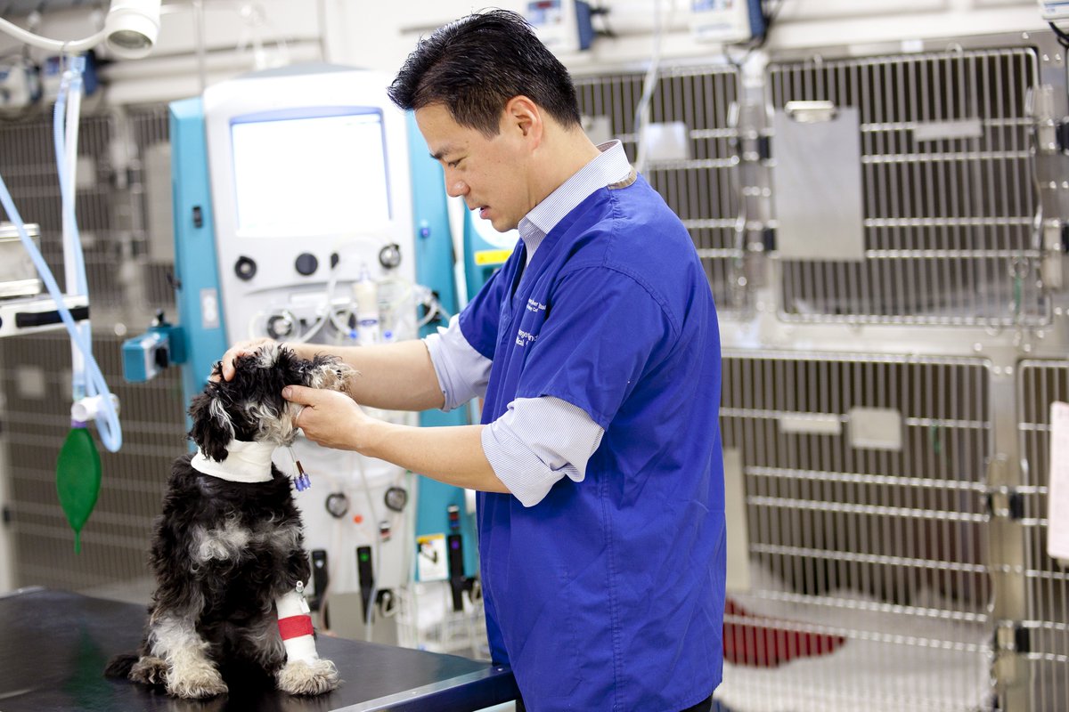 For just £1 you can make a difference and win big! Enter our raffle for a chance to win one of six amazing prizes ranging from £100 to £1,000! Every ticket helps provide top-tier care for animals in need at the RVC's hospitals. 

Buy your tickets at rvcact.com/raffle