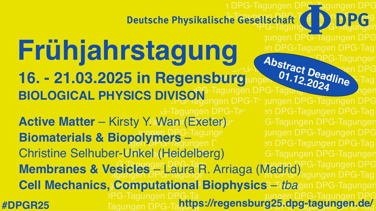 SingleMolecules's tweet image. The abstract deadline for the #DPGR25 Spring Meeting is fast approaching! Join us for talks from Kirsty Wan @micromotility, Christine Selhuber-Unkel and Laura R. Arriaga. Don’t miss your chance to submit your abstract by December 1, 2024, and be part of the program in Regensburg!