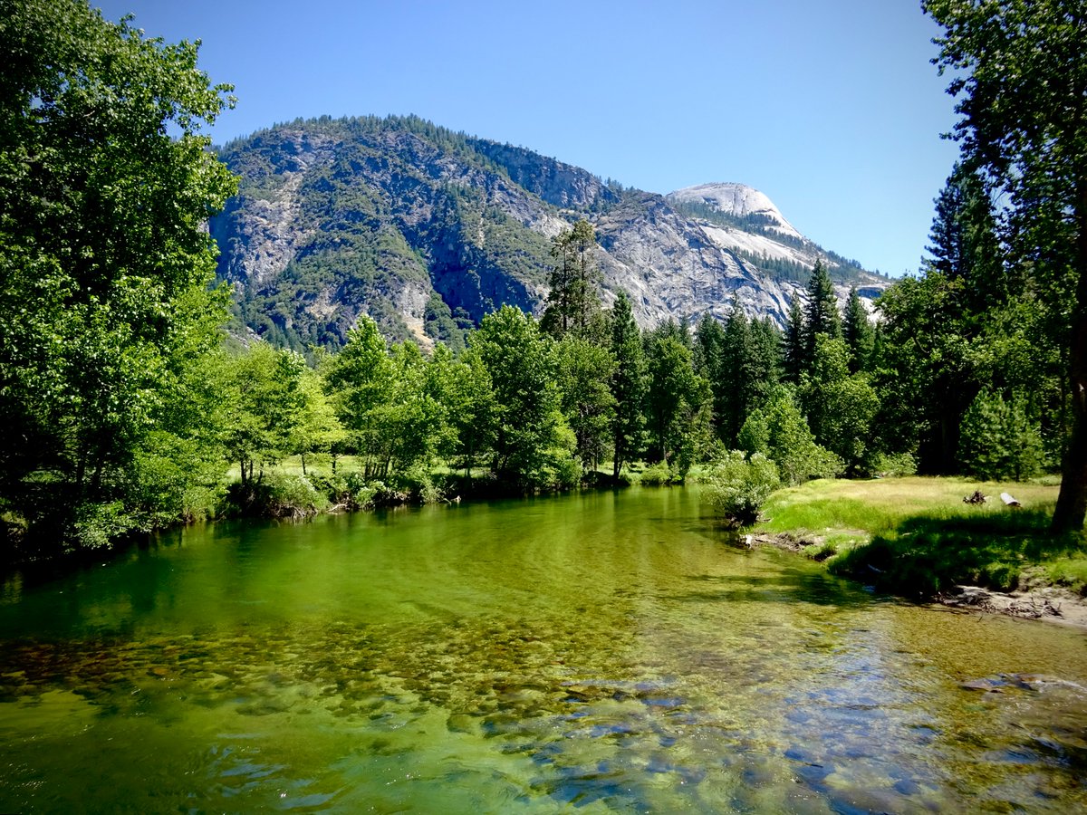 mobymaybe's tweet photo. that which calls us has no name β¨
"Tell Abby that I am there. Where John Muir was. I'll walk in the pages of the book that she likes. Into the geologist's gorge. I will sleep on the naked boulder."
#psmoby https://t.co/REO7FepKGh