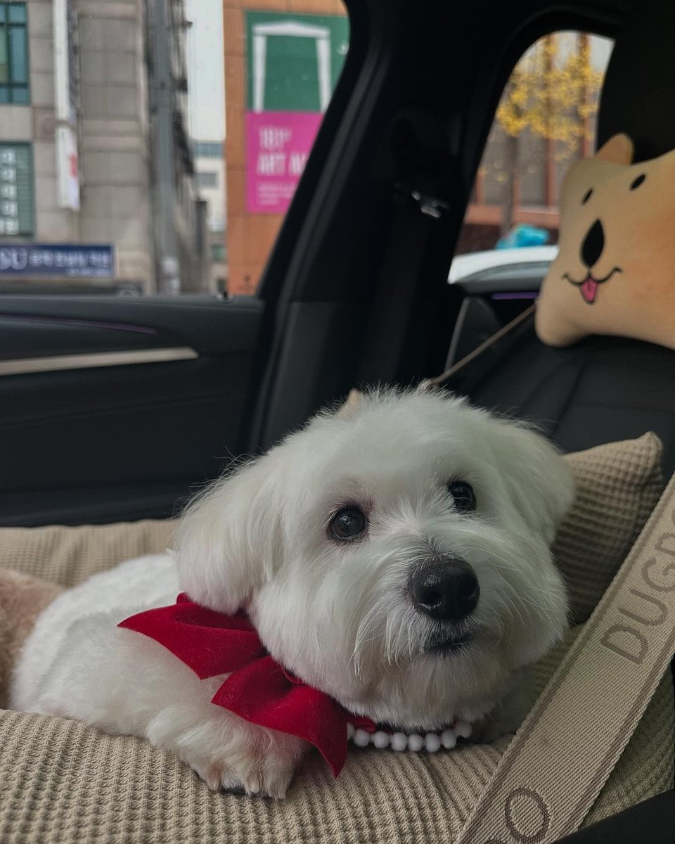 sounds_of_cheol's tweet photo. we got kkuma coups updates today 😭🖤 https://t.co/jb61mbLMlr