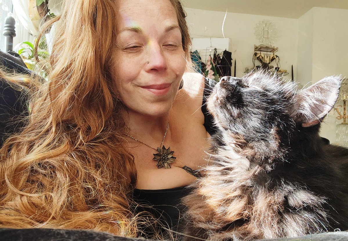 __Granuaile__'s tweet photo. Kitties took turns assisting with #purrtherapy yesterday.

Out of all the different types of therapies I've tried, I must say this is by far the most effective for my mental health &amp; easing of physical symptoms.

#RagnarCat #LokiCat
#PicklesKitty #RescueCats
#feraltofamily https://t.co/aUrVXEMjl0