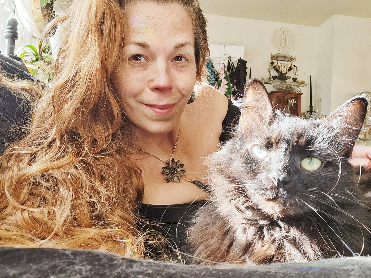 __Granuaile__'s tweet photo. Kitties took turns assisting with #purrtherapy yesterday.

Out of all the different types of therapies I've tried, I must say this is by far the most effective for my mental health &amp; easing of physical symptoms.

#RagnarCat #LokiCat
#PicklesKitty #RescueCats
#feraltofamily https://t.co/aUrVXEMjl0