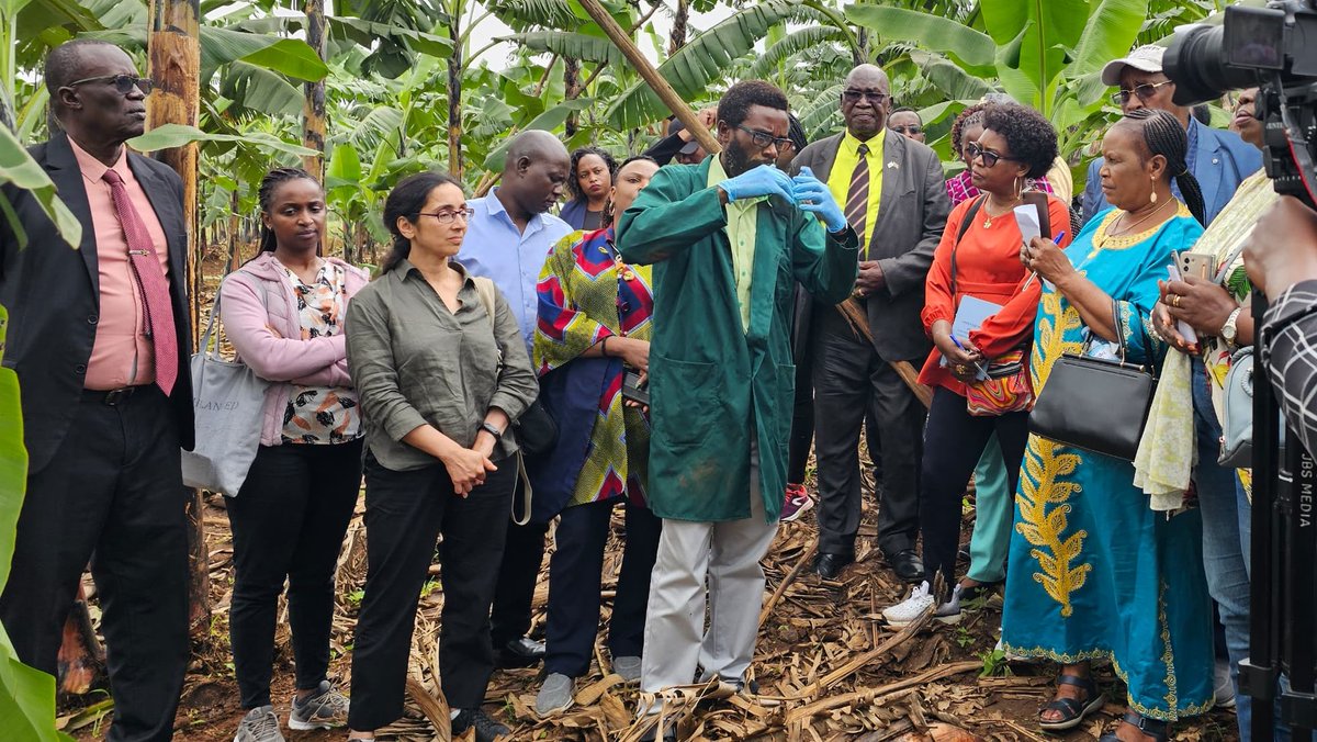 narobiotech's tweet photo. Today NARO hosted the Uganda Parliamentary Alliance and the Eastern Africa Parliamentary Alliance on Food and Nutrition Security at the National Agricultural Research Laboratories in Kawanda and different NARO Institutes exhibited some of the products. https://t.co/yPj1NUtRPT