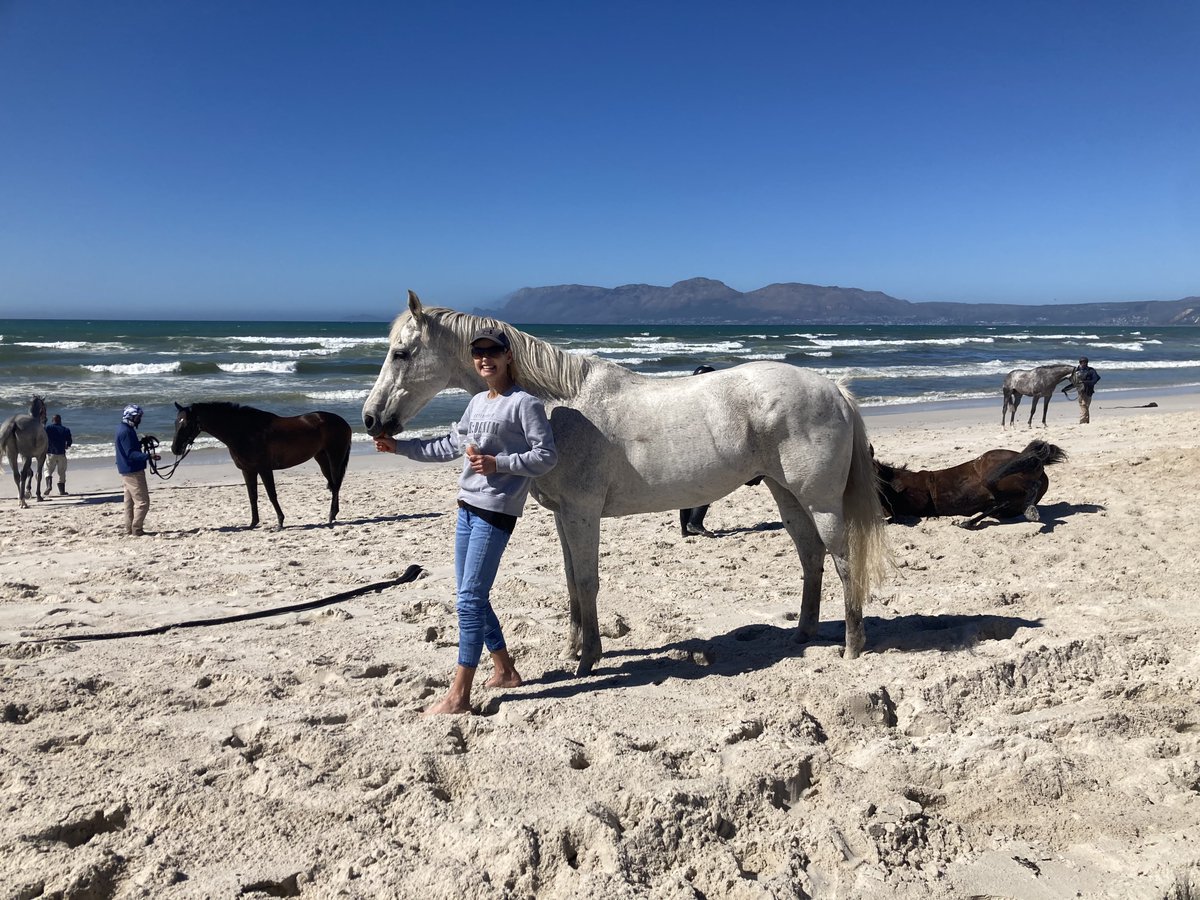 GMCheyne's tweet image. Our final morning of holiday in the beautiful Cape spent with champion trainer @SnaithRacing on Muizenberg beach. 
🇿🇦