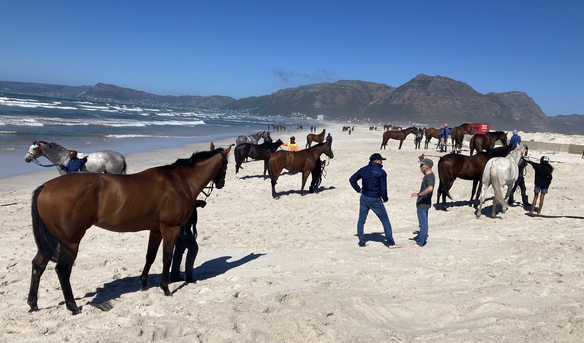 GMCheyne's tweet image. Our final morning of holiday in the beautiful Cape spent with champion trainer @SnaithRacing on Muizenberg beach. 
🇿🇦