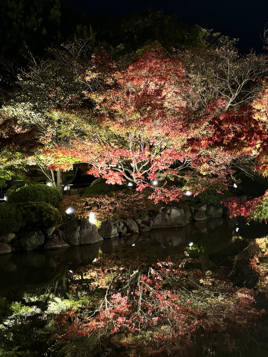 mami19600303's tweet photo. 東寺のライトアップに行ってきました。紅葉は、まあまあかな。でも、紅葉の中での五重塔が幽玄な中にくっきりと美しい姿を見せてくれていました。#東寺 https://t.co/KzRnyjd7Is