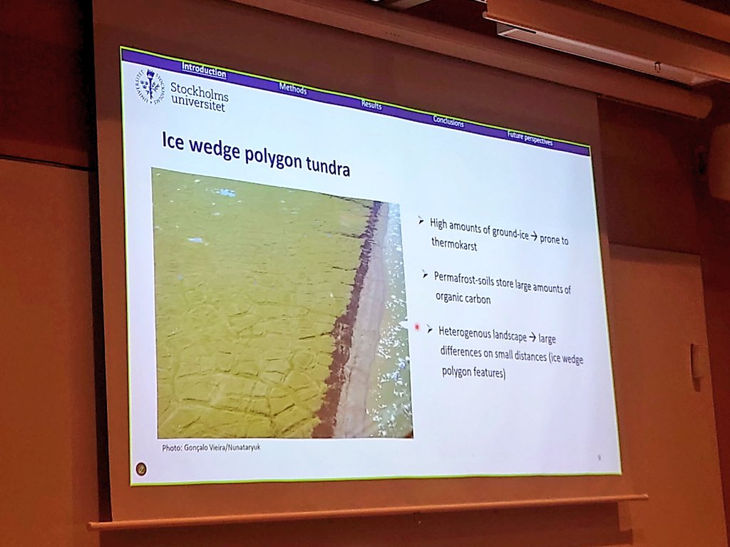 Fascinating thesis about carbon, permafrost, coastal morphology in north Canada by Julia Wagner, Stockholm University, department of Physical geography. Supervisor Gustaf Hugelius and Ian Brown. Head of dept. Sara Cousins