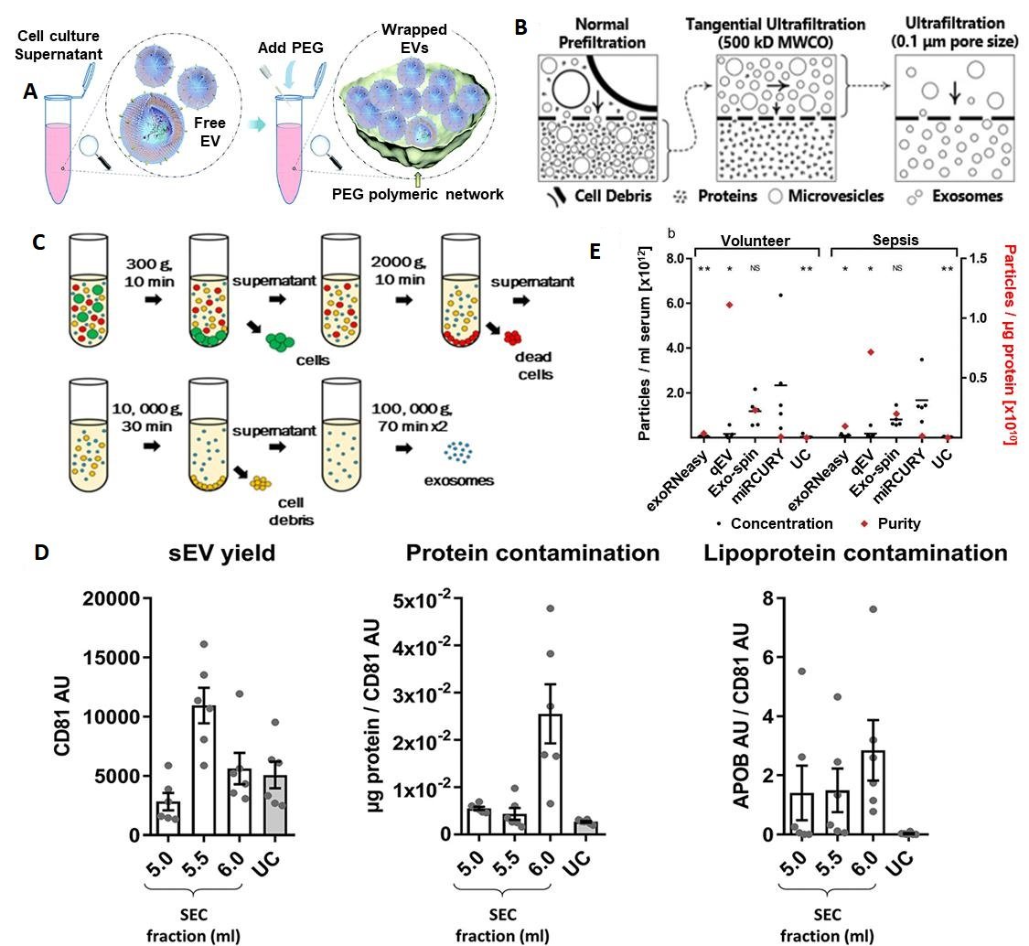 This review highlights the challenges of isolating and enriching EVs, including separating diseased from non-diseased EVs, and explores both traditional and advanced technologies, such as microfluidics, for their detection and characterization. Read at: oaepublish.com/articles/evcna…