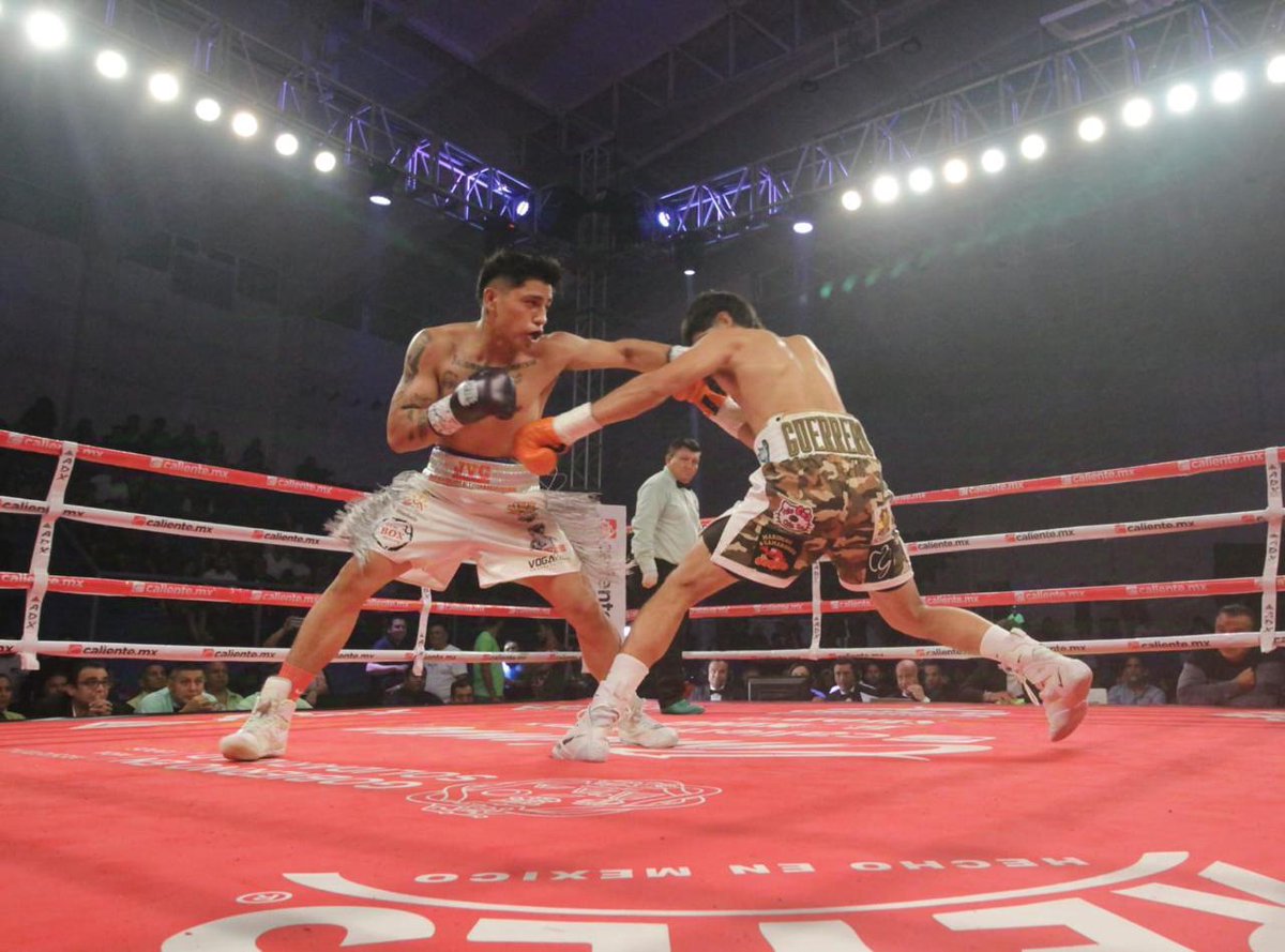 AlejandroWarner's tweet photo. Box Internacional en Playa del Carmen con la crónica de campeones 🥊 Tnks @estefaniamerkdo x la promoción Turística @SolidaridadAyto https://t.co/8y7QAD3Fkq
