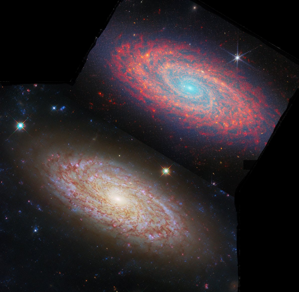 Chris Hadfield tweet media