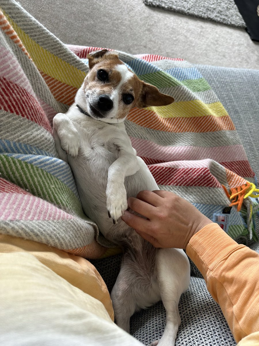 Cynthia Moore tweet media